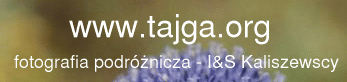 tajga.org