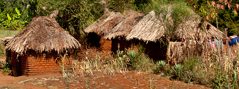 tanzania podroze przewodnik zdjecia